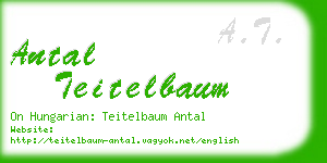 antal teitelbaum business card
